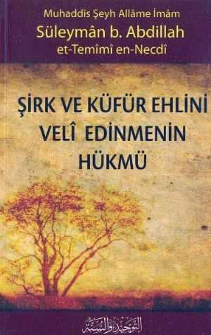 Şirk ve Küfür Ehlinini Veli Edinmenin Hükmü