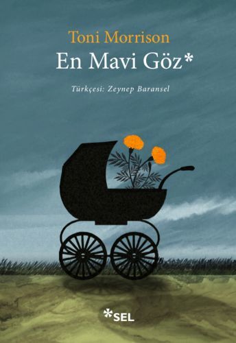 En Mavi Göz, Toni Morrison