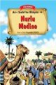 Nurlu Medine-4, Siyer Yayınları