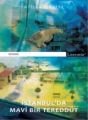 İstanbul'da Mavi Bir Tereddüt, Atilla Birkiye, Literatür