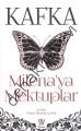 Milena'ya Mektuplar, Franz Kafka