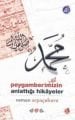 Peygamberimizin Anlattığı Hikayeler, Nar Yayınları
