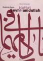 Hattat Şeyh Hamdullah, Prof. Dr. Muhittin Serin
