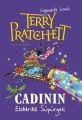 Cadının Elektrikli Süpürgesi, Terry Pratchett