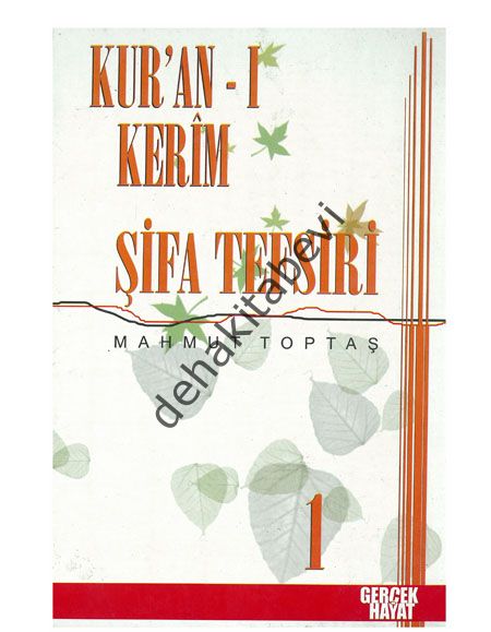 Şifa Tefsiri 8. Cilt, Mahmut Toptaş, Gerçek Hayat