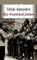 Köy Enstitüsü Yılları, Talip Apaydın, Literatür