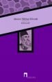 Cellat, Ahmet Mithat Efendi