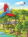 ING-A BİRD LANDED ON A WİNDOW - JUSTİCE