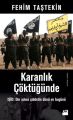 Karanlık Çöktüğünde, Fehim Taştekin, Doğan Kitap