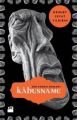 Kabusname, Mehmet Cevat Yıldırım, Doğan Kitap