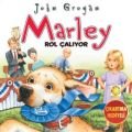 Marley Rol Çalıyor , John Grogan