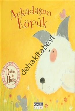 Arkadaşım Köpük, Kolektif