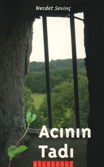 ACININ TADI