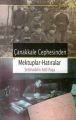Çanakkale Cephesinden (Mektuplar Hatıralar), Selahaddin Adil Paşa