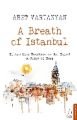 A Breath Of Istanbul, Aret Vartanyan