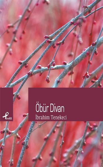 Öbür Divan, İbrahim Tenekeci, Profil Yayıncılık
