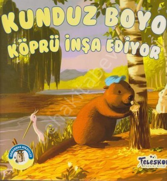 Kunduz Boyo, Teleskop Popüler Bilim