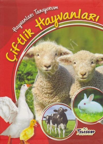 Çiftlik Hayvanları, Teleskop Popüler Bilim