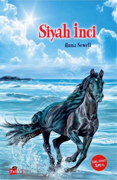 Siyah İnci, Tutku Yayınevi
