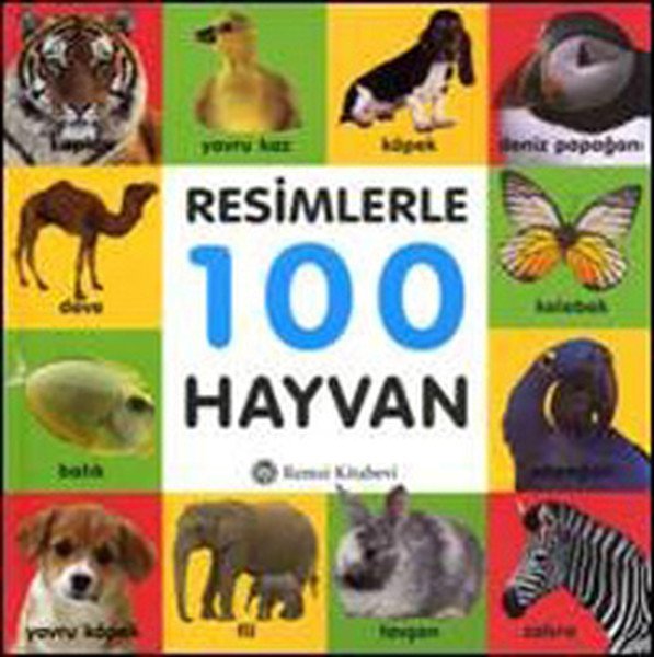 Resimlerle 100 Hayvan, Kolektif, Remzi Kitabevi