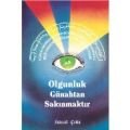 Olgunluk Günahtan Sakınmaktır, İsmail Çetin, Dilara Yayınları