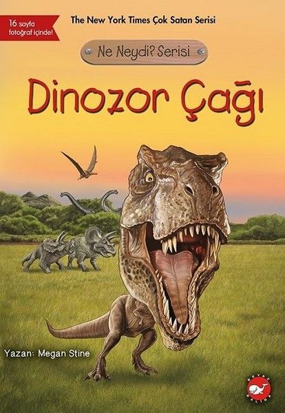 Ne Neydi Serisi Dinozor Çağı, Megan Stine