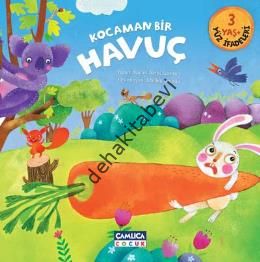 Kocaman Bir Havuç, Nalan Aktaş Sönmez