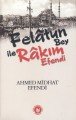 Felatun Bey ile Rakım Efendi, Ahmet Mithat Efendi