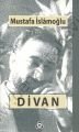 Divan, Düşün Yayıncılık
