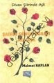 Şairin Gönül Miracı Adı Aşk, Mahmut Kaplan