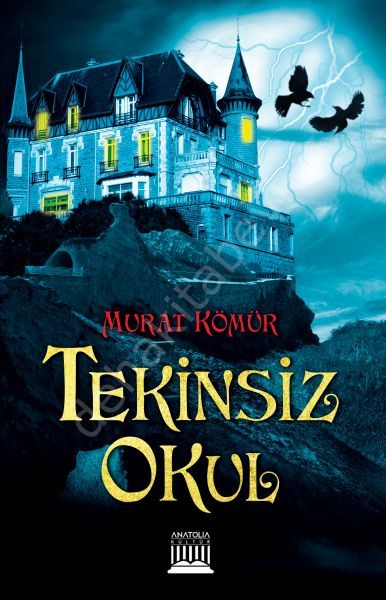 Tekinsiz Okul, Murat Kömür, Anatolia Kitap