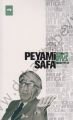 Din, İnkılap, İrtica, Peyami Safa
