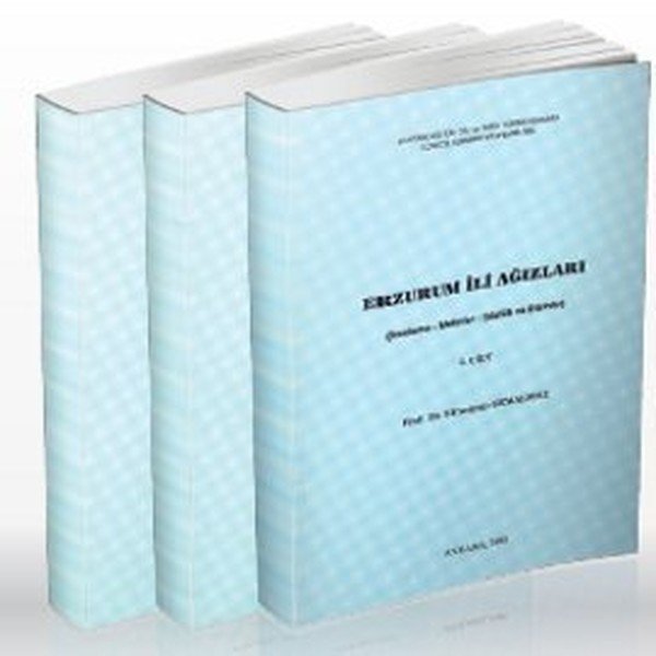 Erzurum İli Ağızları 3 Kitap Takım