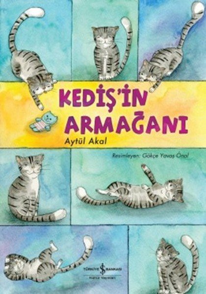 Kedişin Armağanı, Aytül Akal