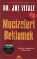 Mucizeleri Beklemek, Joe Vitale