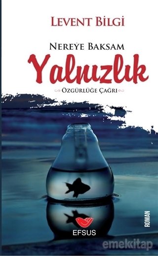 Nereye Baksam Yalnızlık, Levent Bilgi