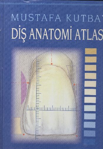 Diş Anatomi Atlası - Mustafa Kurtbay