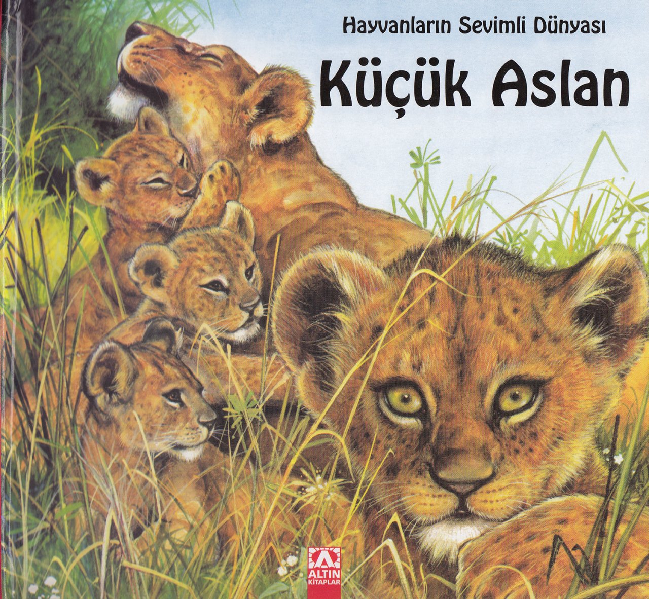 Hayvanların Sevimli Dünyası Küçük Aslan Ciltli, Marie Duval