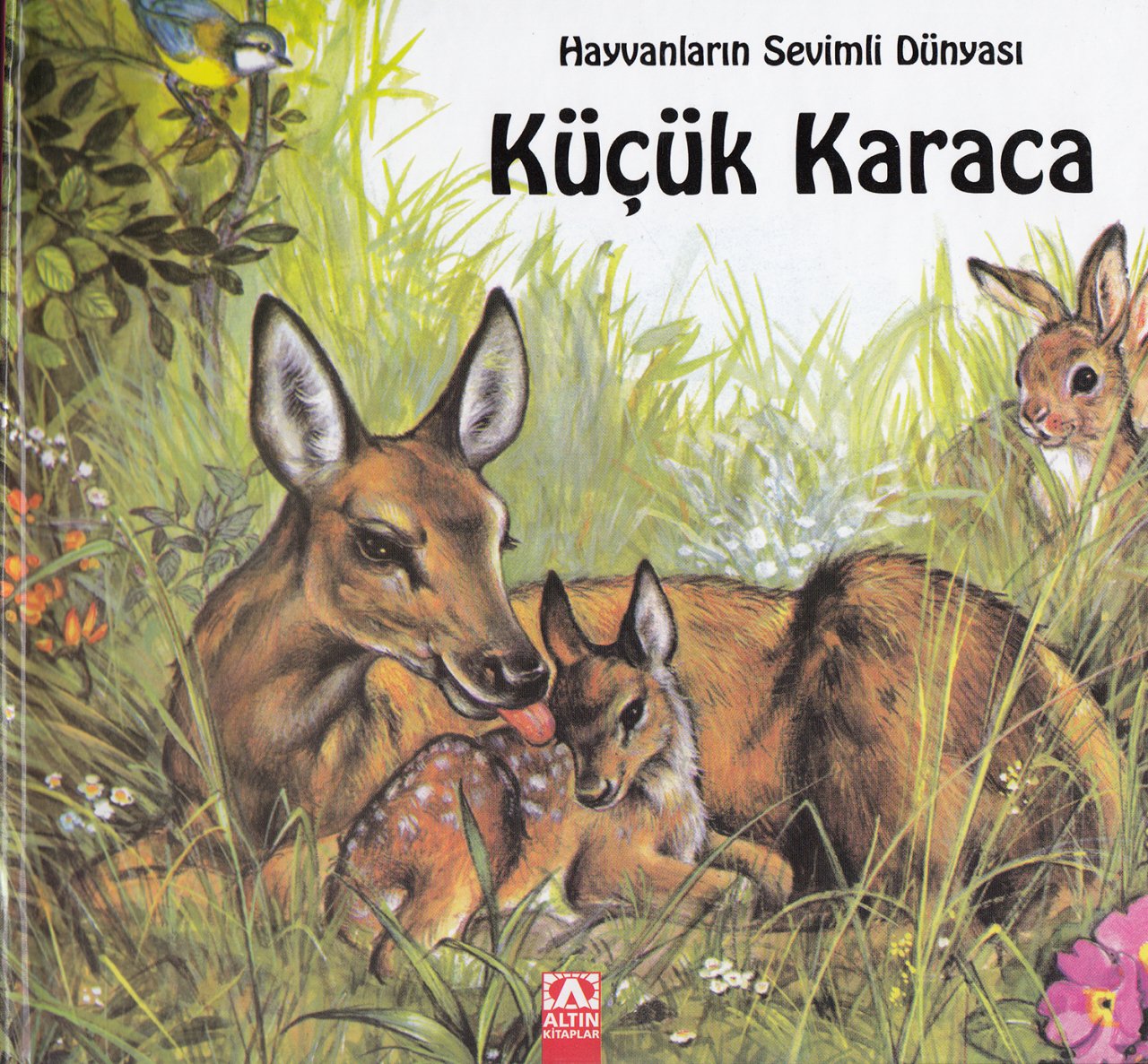 Hayvanların Sevimli Dünyası Küçük Karaca Ciltli, Marie Duval
