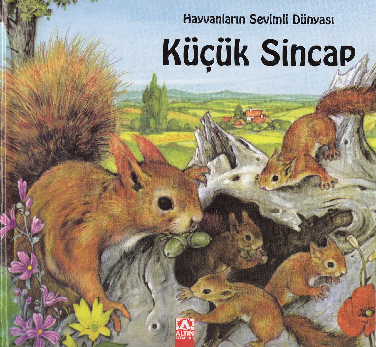Hayvanların Sevimli Dünyası Küçük Sincap Ciltli, Marie Duval