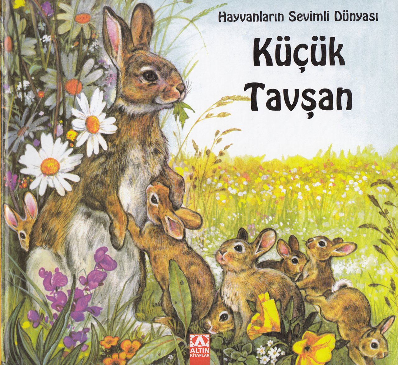 Hayvanların Sevimli Dünyası Küçük Tavşan Ciltli, Marie Duval