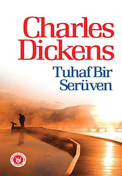 Tuhaf Bir Serüven, Charles Dickens