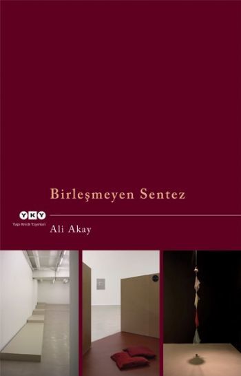 Birleşmeyen Sentez, Ali Akay