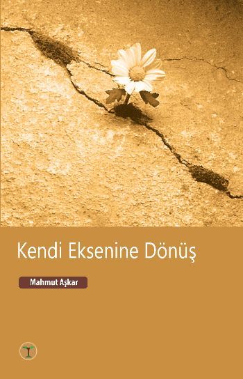 Kendi Eksenine Dönüş, Mahmut Aşkar