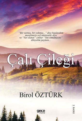 Çalı Çileği Ciltli, Birol Öztürk