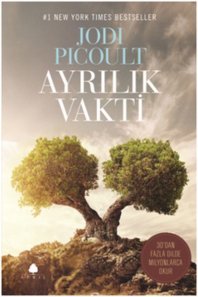 Ayrılık Vakti, Jodi Picoult