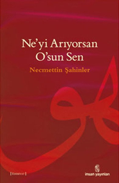 Ne'yi Arıyorsan O'sun Sen, Necmettin Şahinler