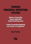 Turkish Financial Reporting System, Engin Yarbaşı, Literatür