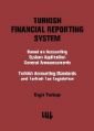 Turkish Financial Reporting System, Engin Yarbaşı, Literatür