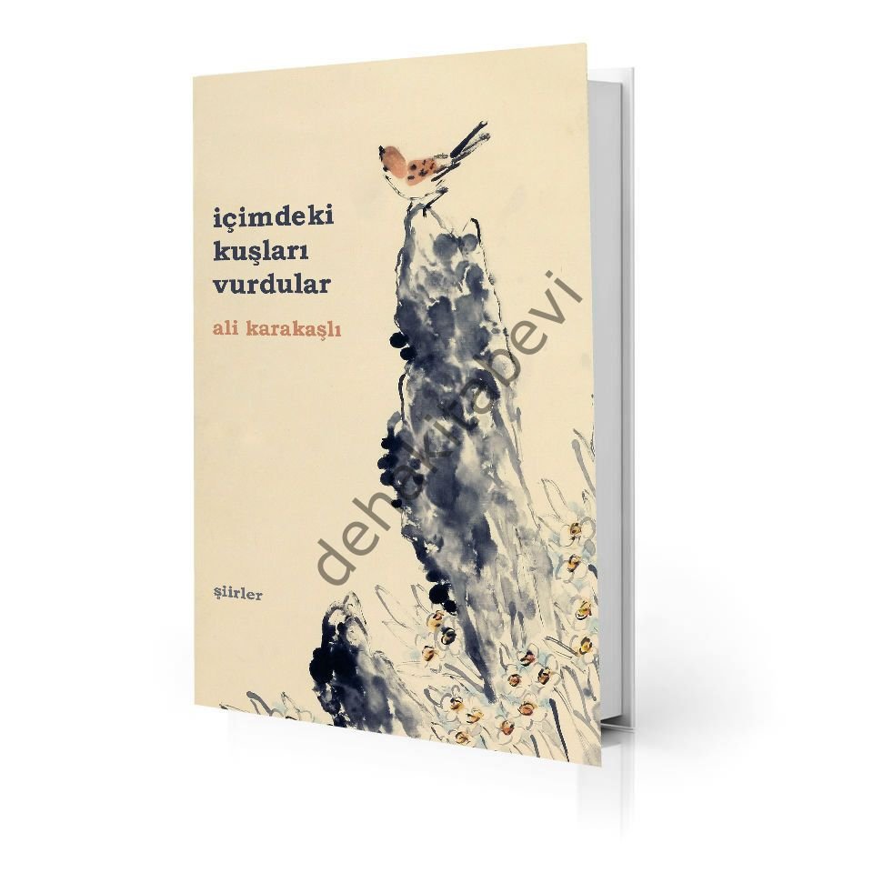 İçimdeki Kuşları Vurdular, Ali Karakaşlı